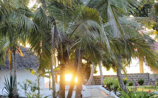 Aya Beach Bungalows Hotel