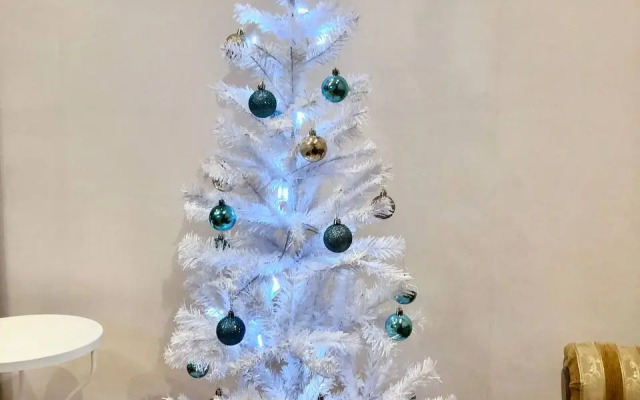 Квартира на  Эпроновской 1