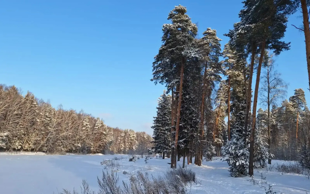 Частный дом в Заветах Ильича с голубой гостиной