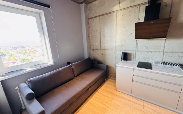 Апартаменты Лофт с видом на телебашню