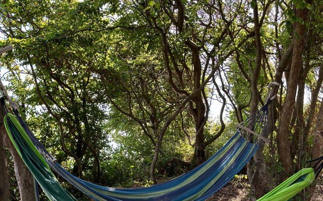 Recreation camp Oazis
