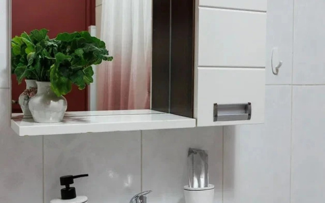 V tsentre Irkutska Flat