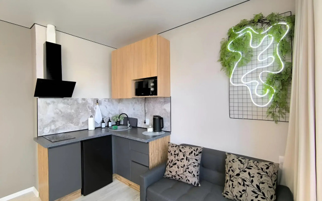 Квартира ЭКО-студия