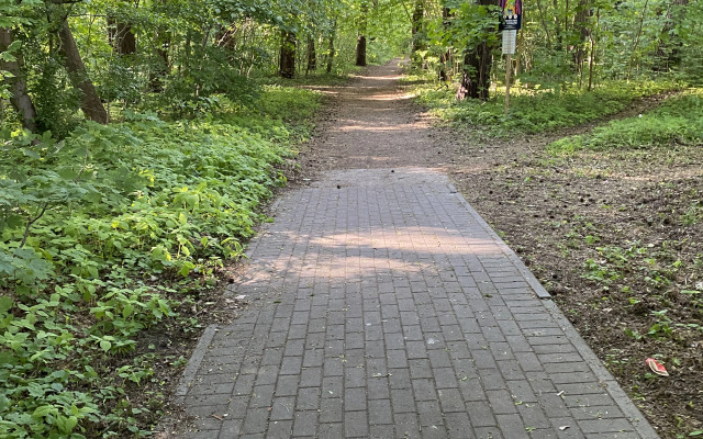 Апартаменты Уютные апартаменты на берегу Балтийского моря