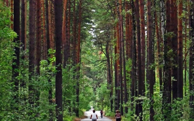 in Zaeltsovsky forest near the Zoo Apartments
