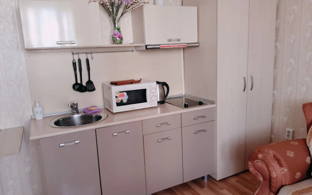 Avrora  Chetyrekhmestny 70 Apartment