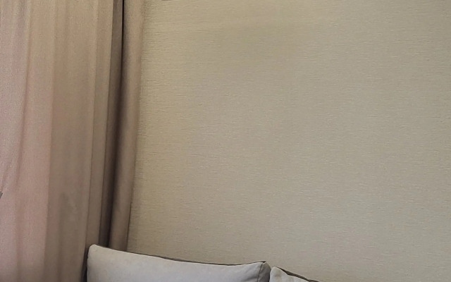 V Tsentre Ribnaya Derevnya U Kanta Apartments