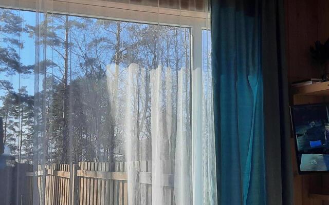 Guest House v Vyazah