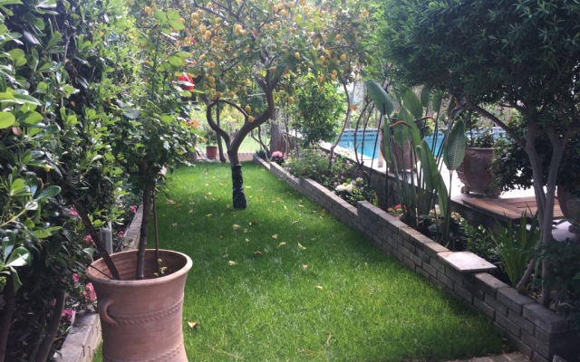 Villa Efyra Guest House