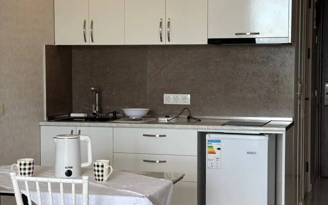 Uyutnaya Studiya ryadom s Aeroportom Apartments