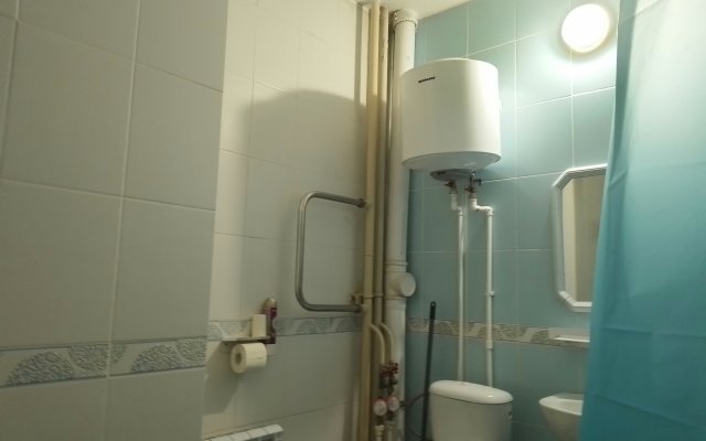 Апартаменты Брусничная Студия