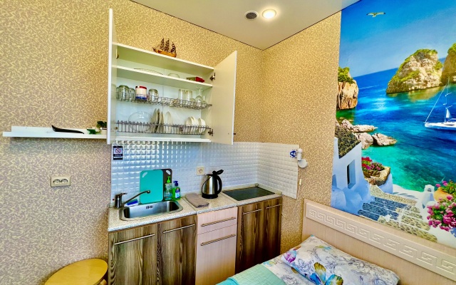 Panorama Kazan Studio Center Apartments