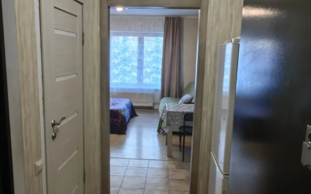 Na Bachurinskoy shokolad Apartments