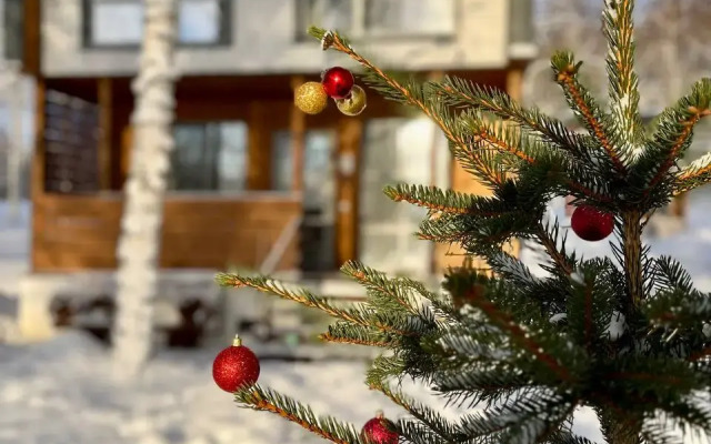 Частный дом Шакти