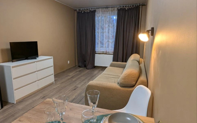 Квартира уютная однокомнатная Бугры