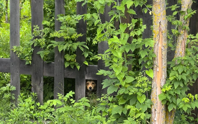 Глэмпинг Ривер Лэнд