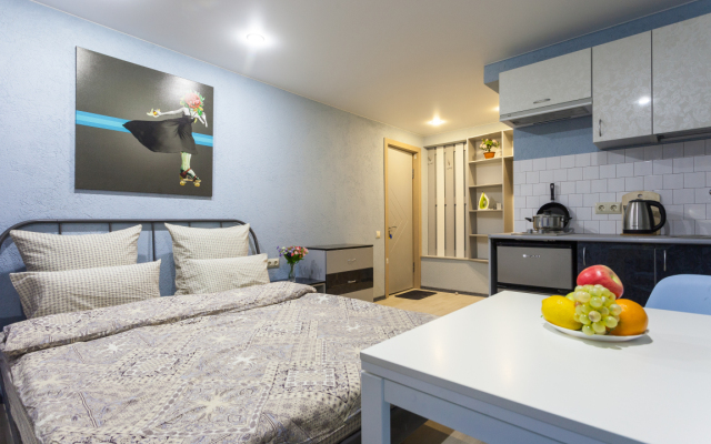 Apartamenty 6ya Krasnoarmeyskaya 23 (2)