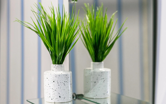 Квартира Уютная в городе Кисловодск