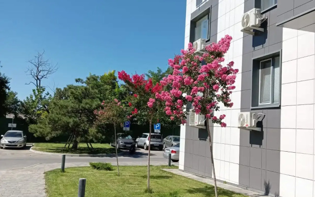 Studiya V Zhk Dobrogorod Flat
