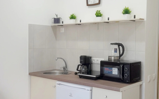 Stilnye apartamenty s novym remontom Flat