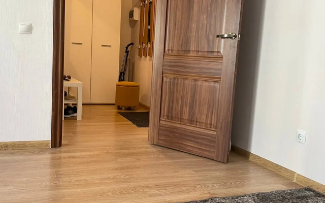 Квартира просторная светлая теплая в центре города