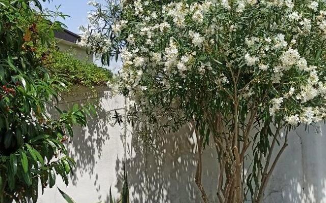 Belaya panama Guest House