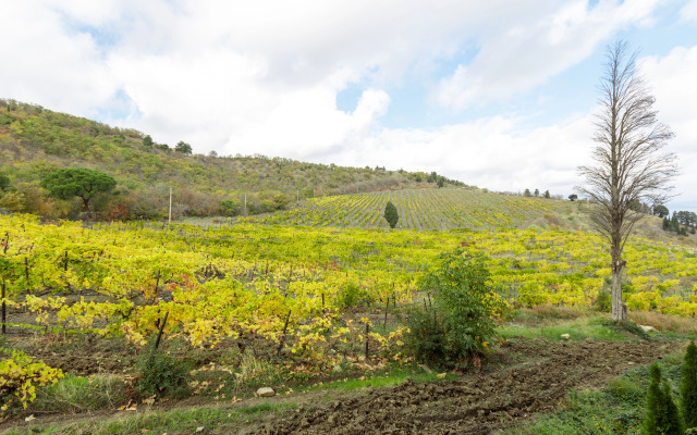 Апартаменты Графит