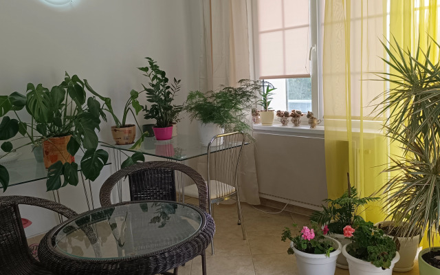 Апартаменты у моря Балтийский Бриз cтудио 3-х местный