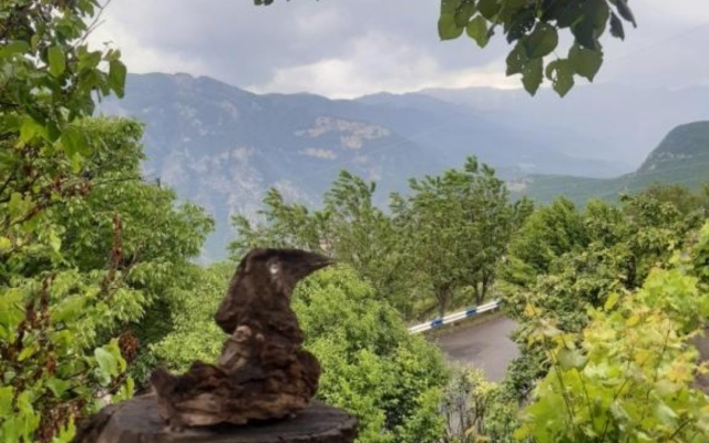 Igor B&B Guest House