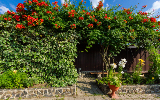 Abhazskaya Usadba Guest House