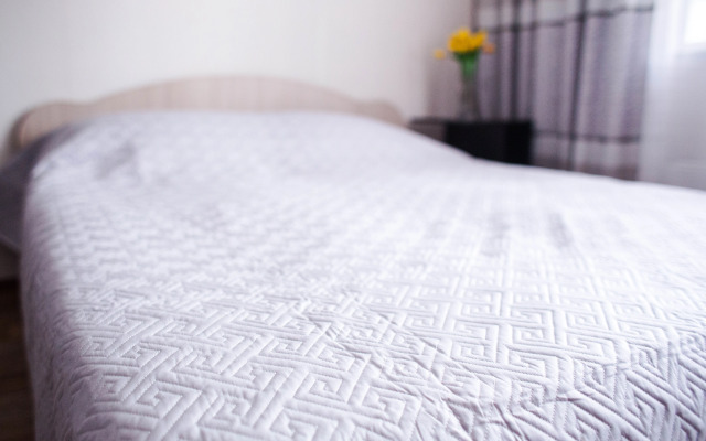 Апартаменты Династия Карамзина 18