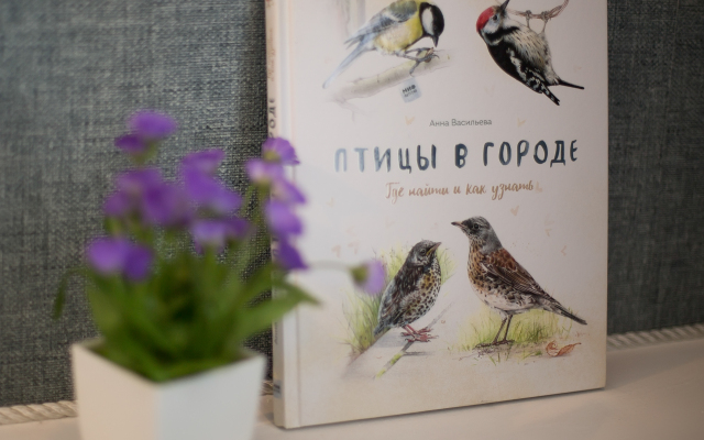 Апартаменты на Театральной в центре города