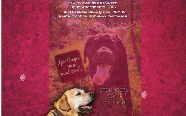 Oplot - Semejnyj s dvumya spal'nyami i balkonami 9 Apartments