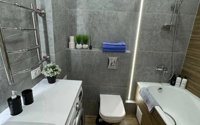 Sibir House Luxe naprotiv Moskovskoy ploshadi Apartments
