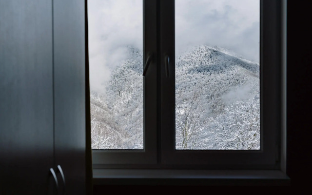 AYS Let It Snow Hotel Roza Khutor