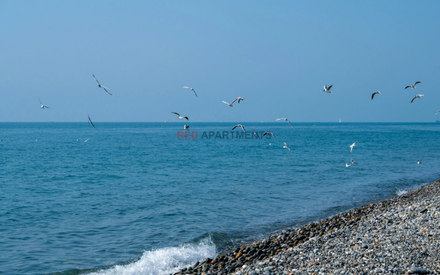 Апартаменты Red Apartments Крамского (Верона)