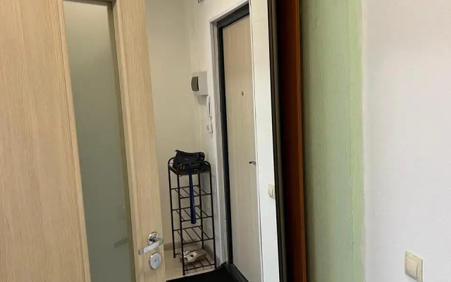 Studiya s vidom na Finskiy zaliv Apartments