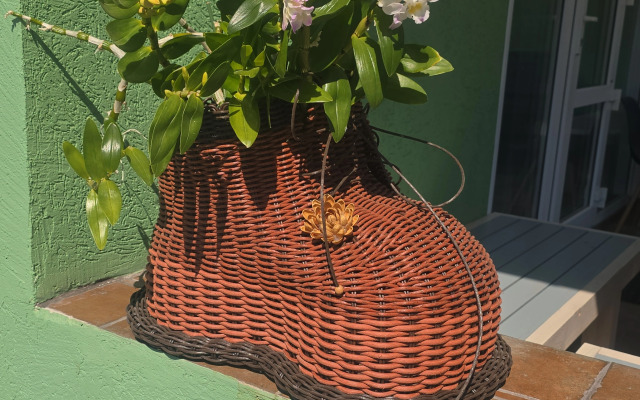 Частный дом с террасой Изумруд