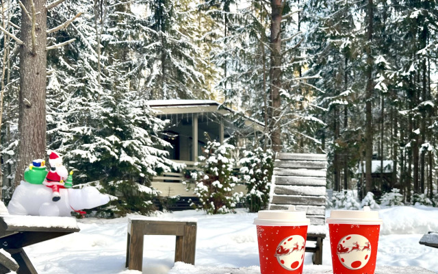 Лесной домик на берегу Озера Волго на Селигере - коттеджи Сосновый бор