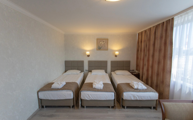 Historical Hotel Kaluga