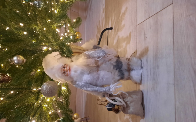 Гостевой дом Kislorod