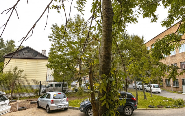 Апартаменты TopHouse на Авраменко 17, 1