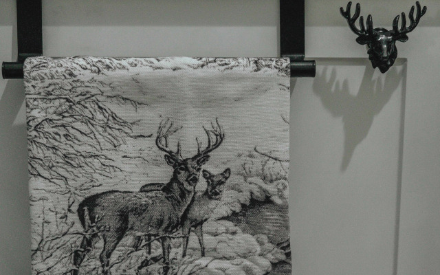 Квартира Белочка