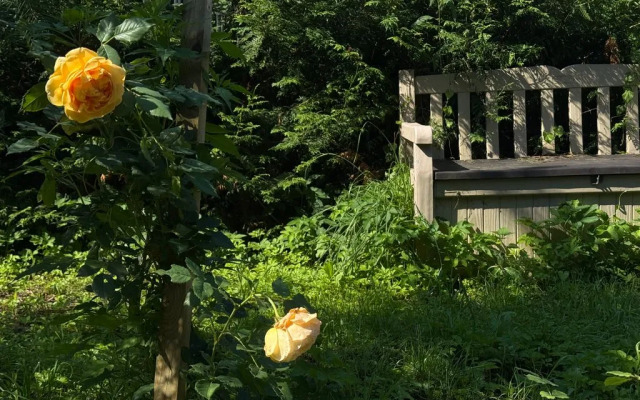 Частный дом с баней в лесу на берегу Истринского водохранилища