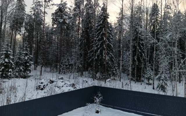 Частный дом у леса