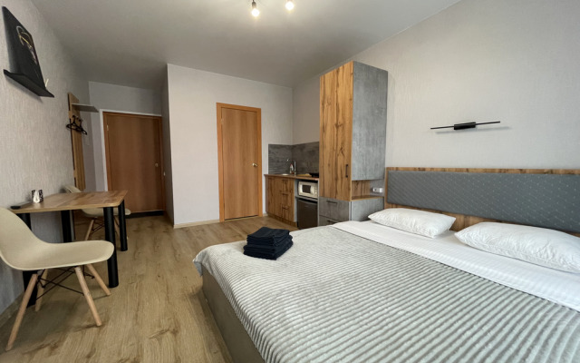 Studiya U Aeroporta Apartments