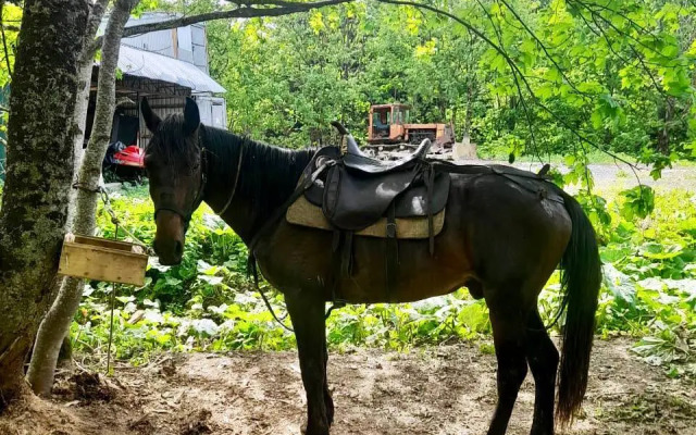 База отдыха Панорама