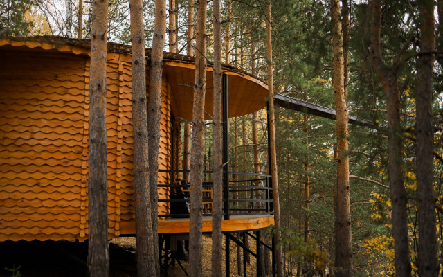 Отель Сорока