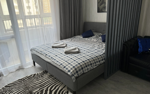 Studiya S Kaminom U Parka Flat