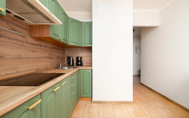 Dunay Odnokomnatnye U Metro Zvezdnaya Apartment